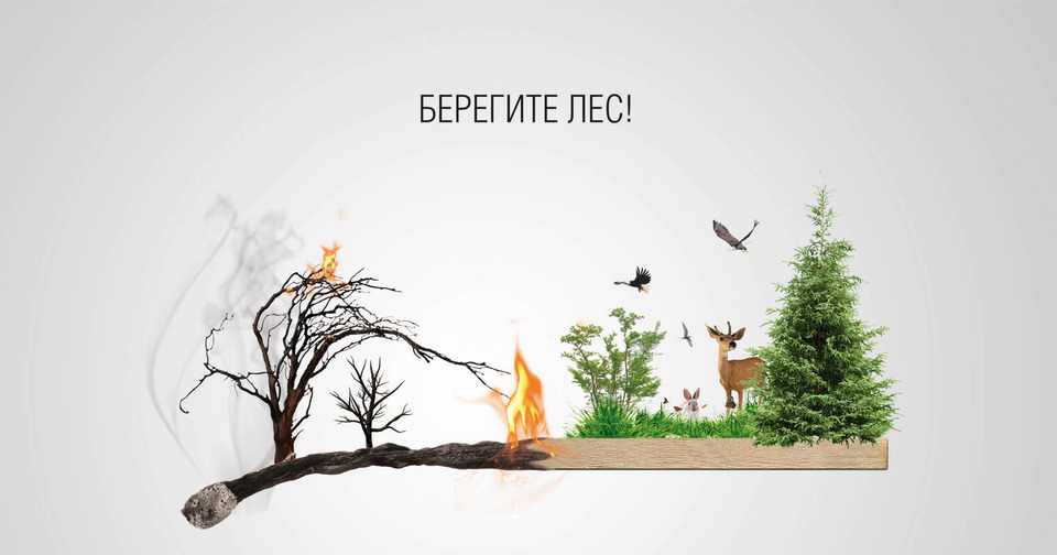БЕРЕГИТЕ ЛЕС ОТ ОГНЯ!.