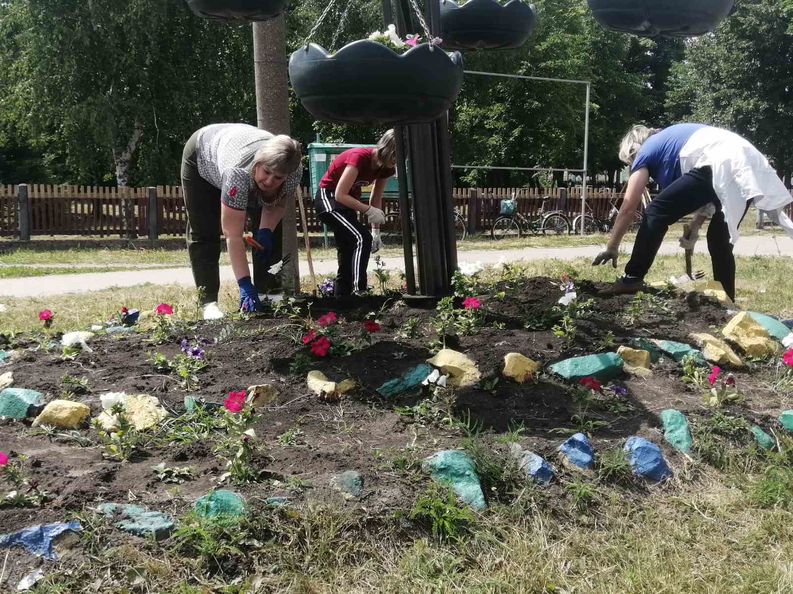 Единый День Чистоты.