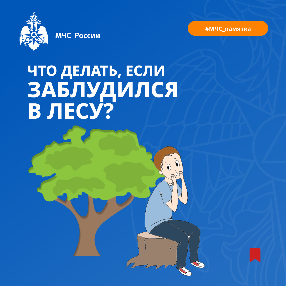 Что делать, если вы заблудились в лесу: памятка для безопасности.