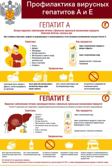 Профилактика вирусных гепатитов А и Е.